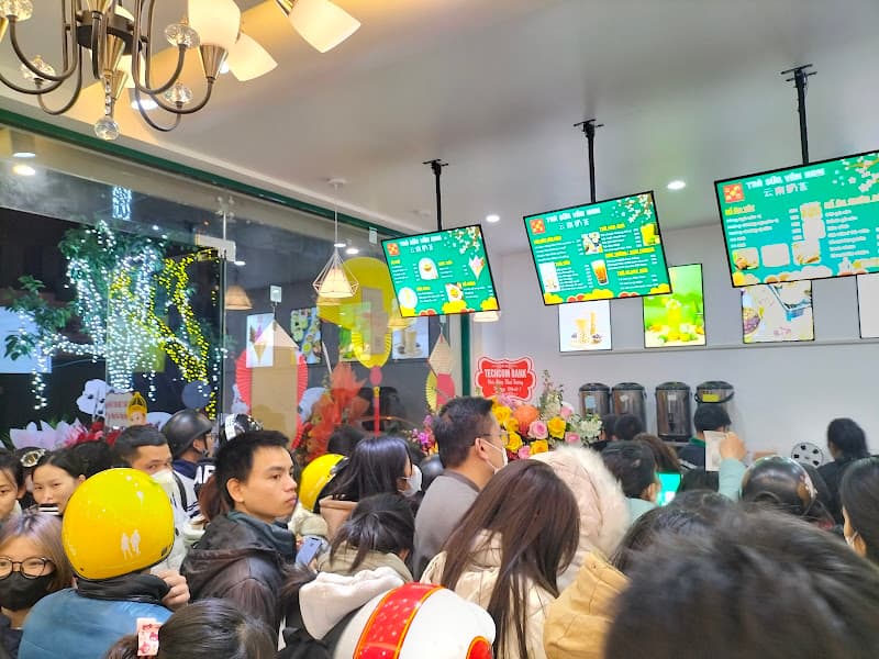 Hình ảnh Trà Sữa Vân Nam - 4
