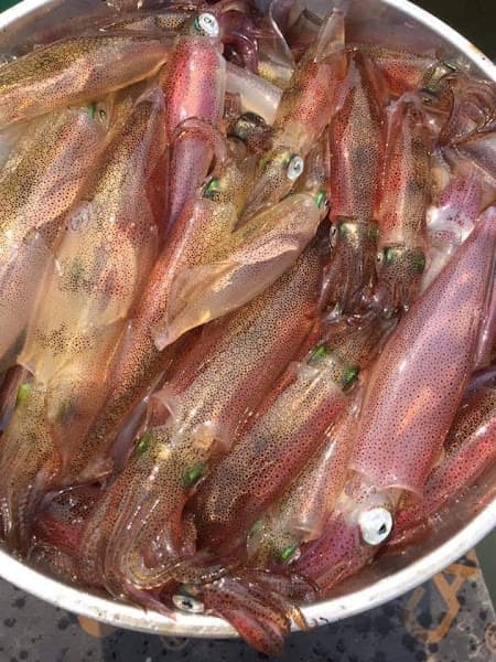 Hình ảnh Nhà hàng Hải sản hà quế - 4