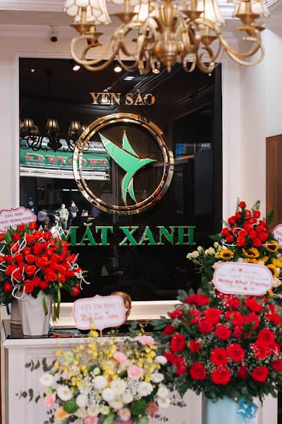 Hình ảnh Yến sào Mắt Xanh Gia Lai - 4