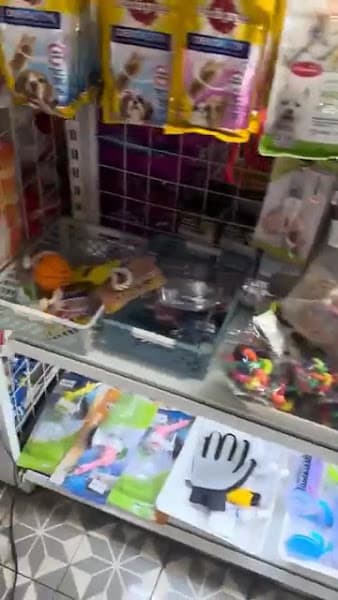 Hình ảnh Thanhxuanpet Nha Trang - Shop - Spa - Hotel - Phòng khám thú cưng - Pet Clinic - 2