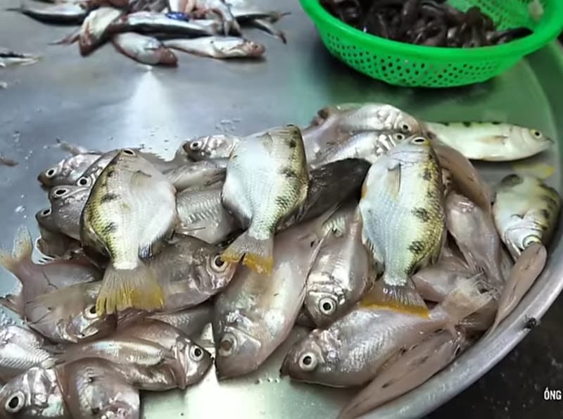 Hình ảnh Chợ Cua - 5