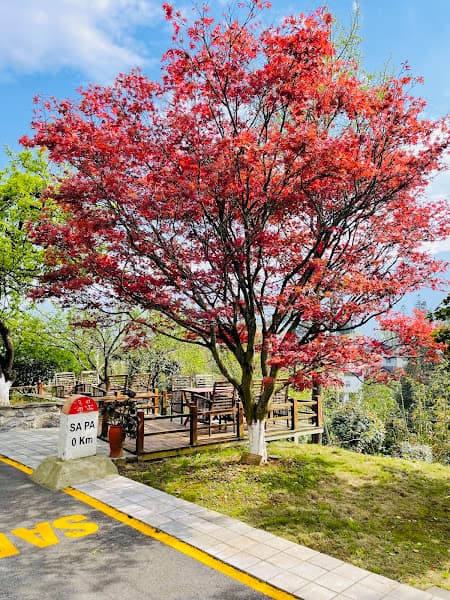 Hình ảnh SaPa By Night - 4