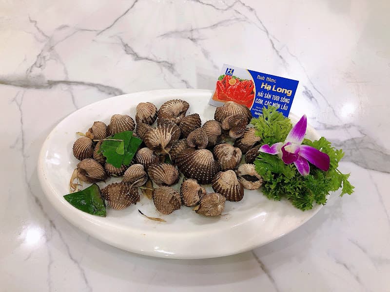 Hình ảnh Nhà hàng hải sản Hạ Long tại Thái Nguyên - 6