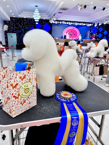 Hình ảnh Bùi Hồng Linh - Chăm Sóc Thú Cưng Huế - 2