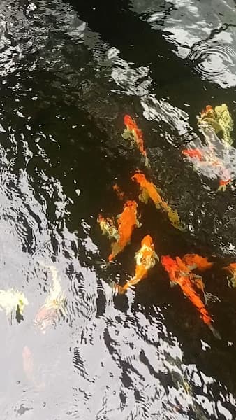 Hình ảnh karaoke Cafe 389 - 3