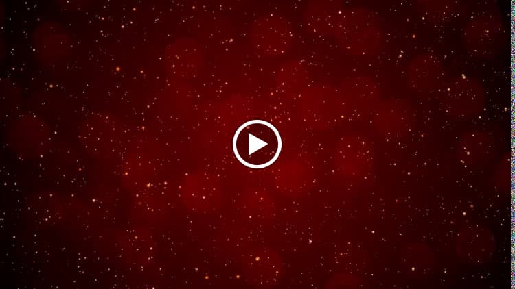 Hình ảnh Quán ăn gia đình Vườn Dâu - 3