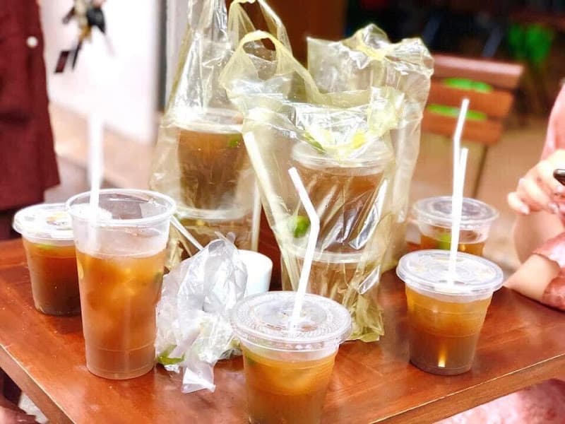 Hình ảnh Trà Cúc Hải Phòng - Vườn Đào Bãi Cháy - 5