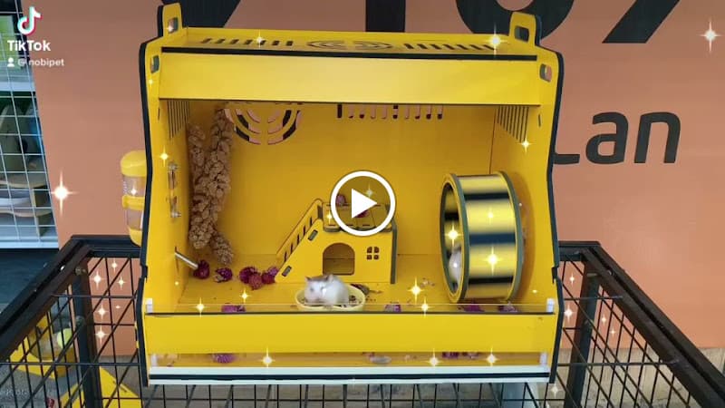 Hình ảnh Nobipet - 4