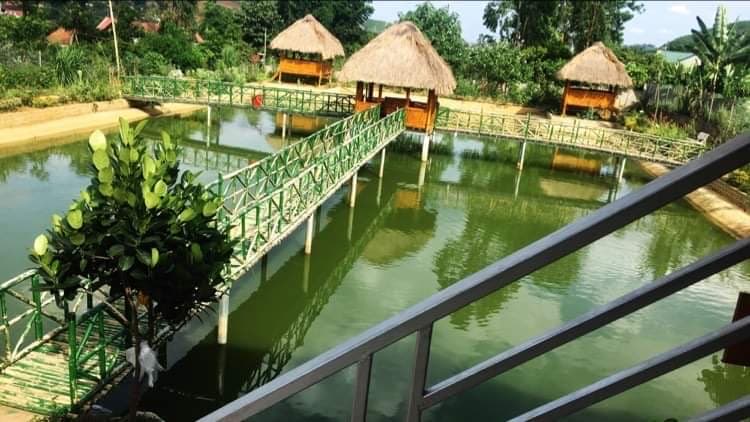 Hình ảnh Nhà hàng- Homstay Thu Thắm - 8