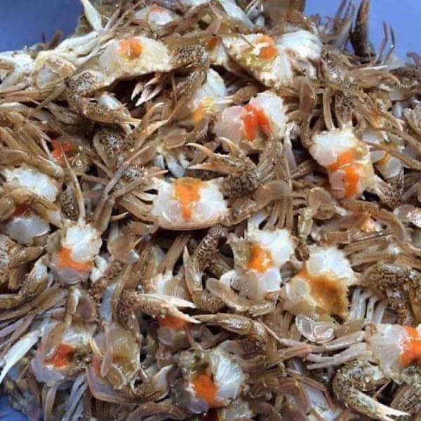 Hình ảnh Hải Sản Chuẩn Quảng Ninh - An Ớt - 2