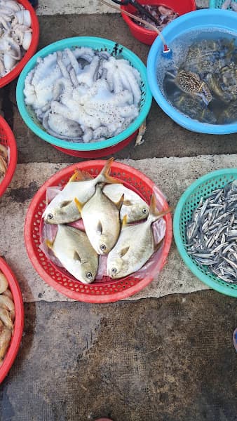 Hình ảnh Chợ Hải Sản - 2