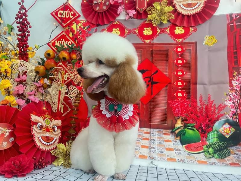 Hình ảnh Happy Pet's Shop - 4