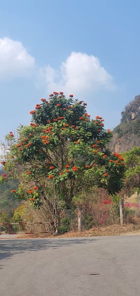 Hình ảnh Sơn La - 2