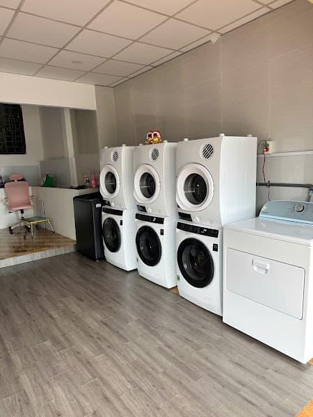 Hình ảnh GIẶT SẤY THỦY TIÊN BMT - 2