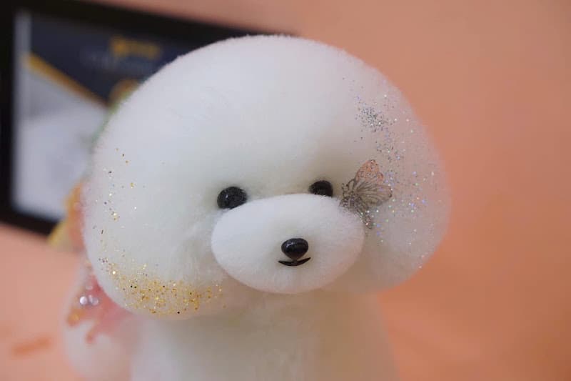 Hình ảnh Phú Spa - Cắt tỉa Cạo lông Grooming Tạo Kiểu Chó Mèo Tại Đà Nẵng - 4