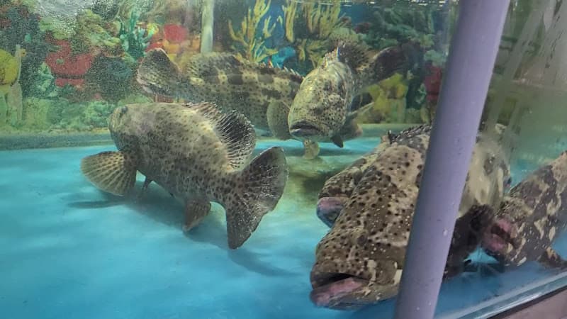 Hình ảnh Quán Nhậu Đầm Tiên - Hải Sản Tươi Sống Quảng Ngãi - 4