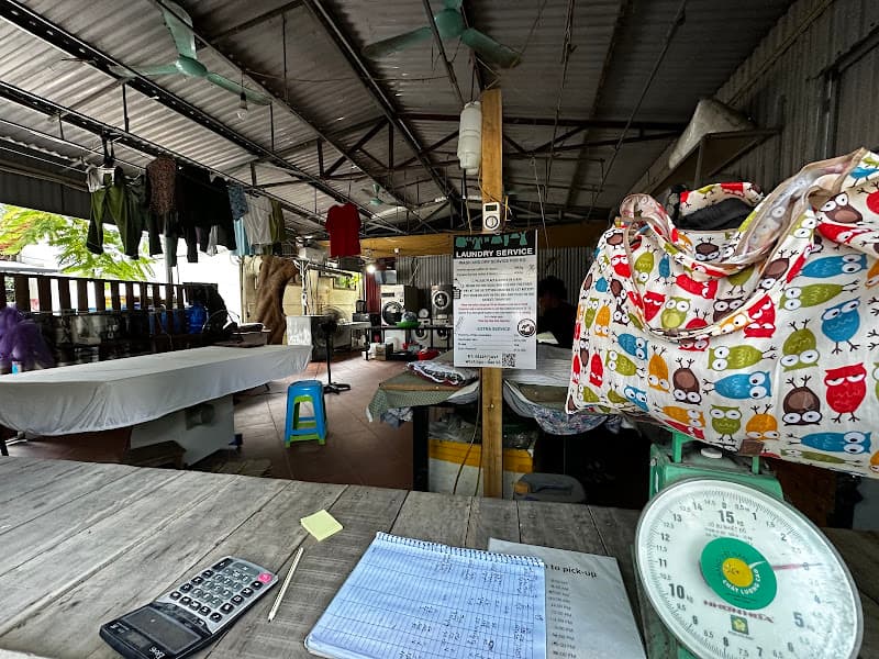 Hình ảnh The Bear Laundry - 2