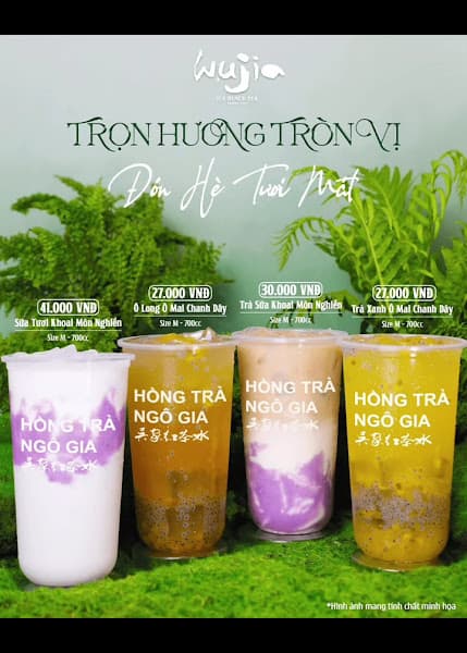 Hình ảnh Hồng Trà Ngô Gia H431 - 2