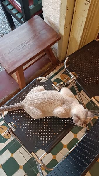 Hình ảnh Cà Phê Đà - 3