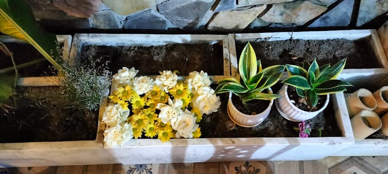 Hình ảnh Bánh xèo chay Ông Thọ - Ăn vặt chay - 2