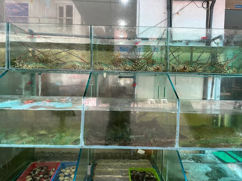 Hình ảnh Nhà Hàng Hải Đăng - 2