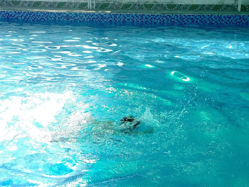 Hình ảnh Hồ bơi Thiên Trang - 6