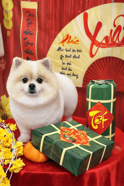 Hình ảnh THÚ CƯNG 3 MIỀN - 2