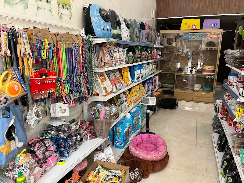 Hình ảnh POM POM PET SHOP 범범펫숍 - 2