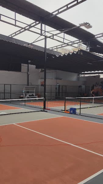 Hình ảnh Sân Pickleball - PK Pickleball Tân Phú - 4