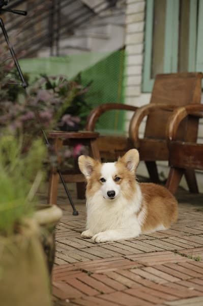 Hình ảnh Bún Phở Hà Kỳ - 2