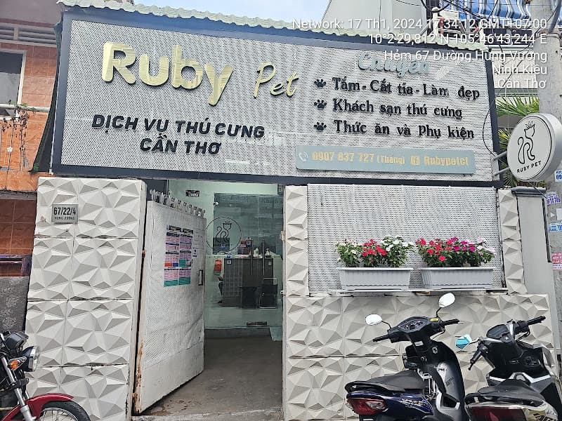Hình ảnh RUBY PET - 2