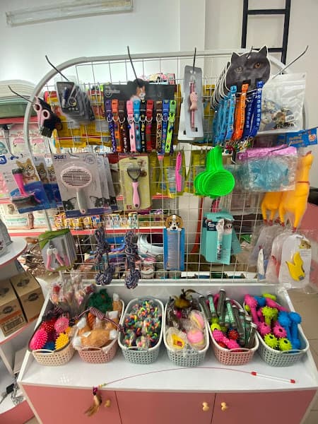 Hình ảnh COn Mều Shop - Cửa Hàng Thú Cưng Hải Dương - 9