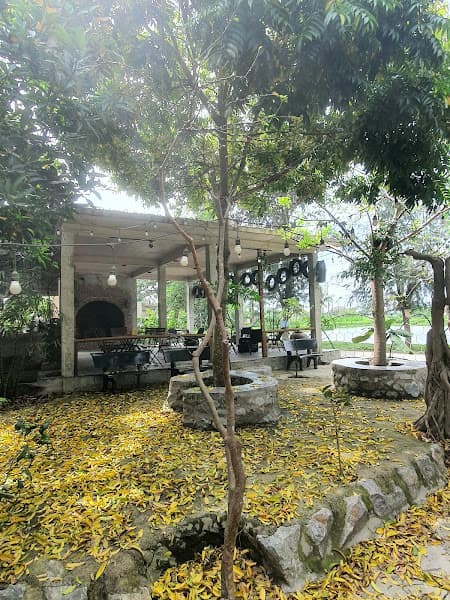 Hình ảnh Tiệm Cắt Tóc Cafe sân vườn Phạm Lực Art - 4