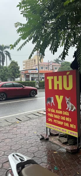 Hình ảnh Phòng Khám Thú Y Hin Pet- Thú Y Hưng Yên - 2