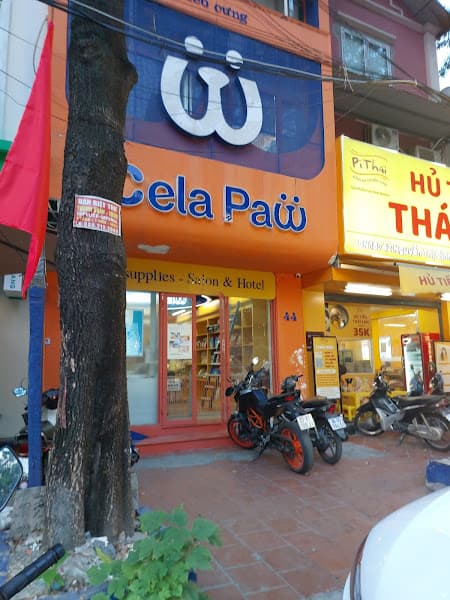 Hình ảnh Cela Paw - chó cưng & mèo cưng - 2