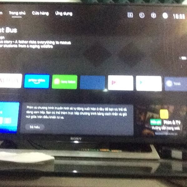 Hình ảnh Sân Pickleball Bảo Minh - 2