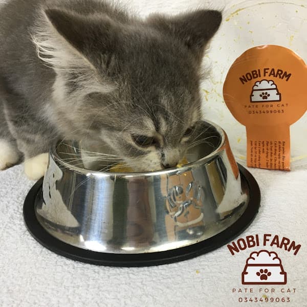 Nobi Farm - Tiệm Đồ Thú Cưng