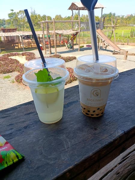 Hình ảnh Raca farm - 2