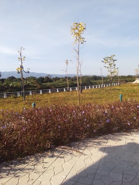 Hình ảnh Công viên Nam thanh cầu A1-C4 - 3