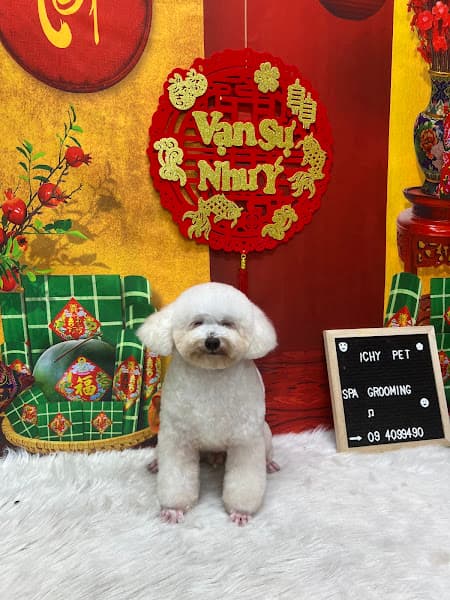 Hình ảnh RICHY PET _ Thế Giới Thú Cưng - 3