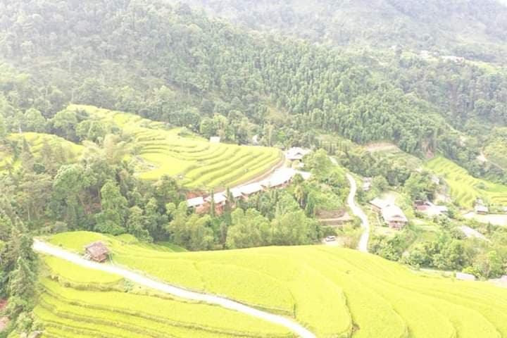 Hình ảnh Ocha coffee - 2