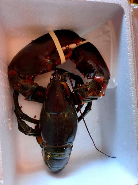 Hình ảnh Hải Sản Linh Thông SeaFood - 2