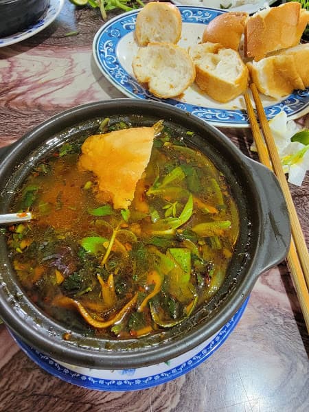 Ảnh bìa Súp lươn Việt Hà