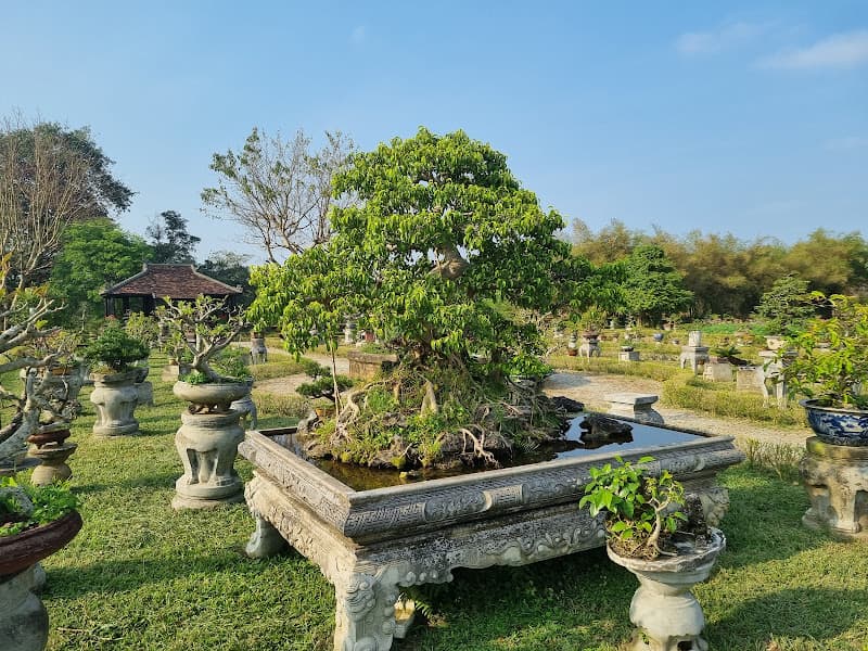 Hình ảnh Vườn Cơ Hạ - 3