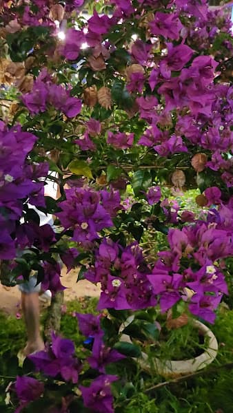 Hình ảnh BIỂN HỒ QUÁN - 3