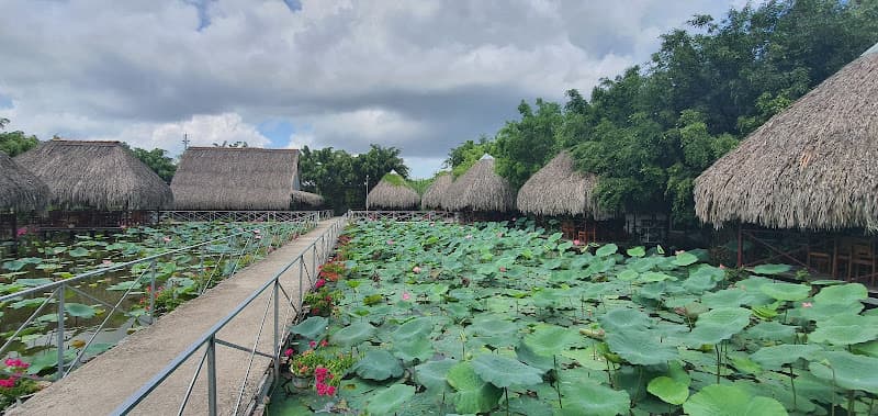 Hình ảnh Nhà hàng Ẩm thực Đại Nam - 4