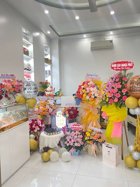 Hình ảnh Yến sào Ba Chị Em - 3