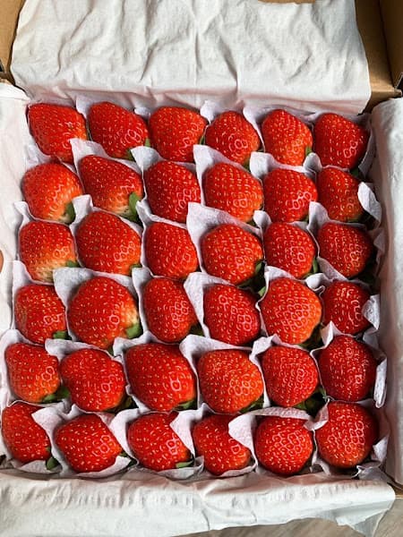 Hình ảnh Quán ăn gia đình 7 Phú - 2