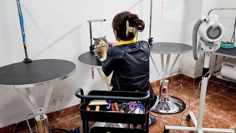 Hình ảnh Pet Home - Cửa Hàng Chăm Sóc Thú Cưng Đà Nẵng - 2