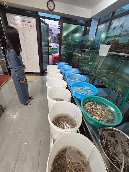 Hình ảnh Nhà hàng Bằng Lăng - 2